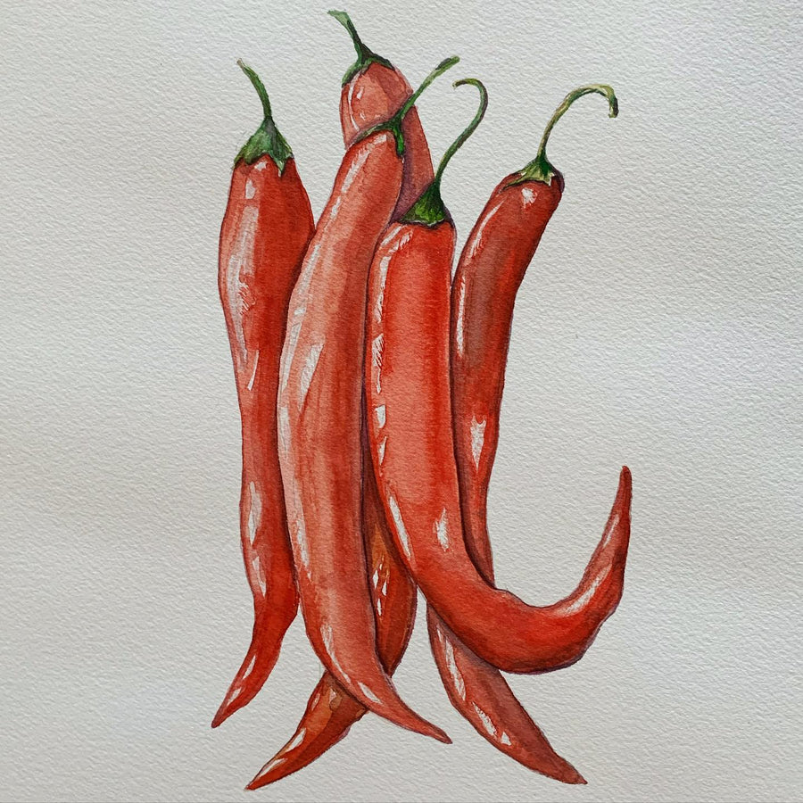 watercolor red chili peppers