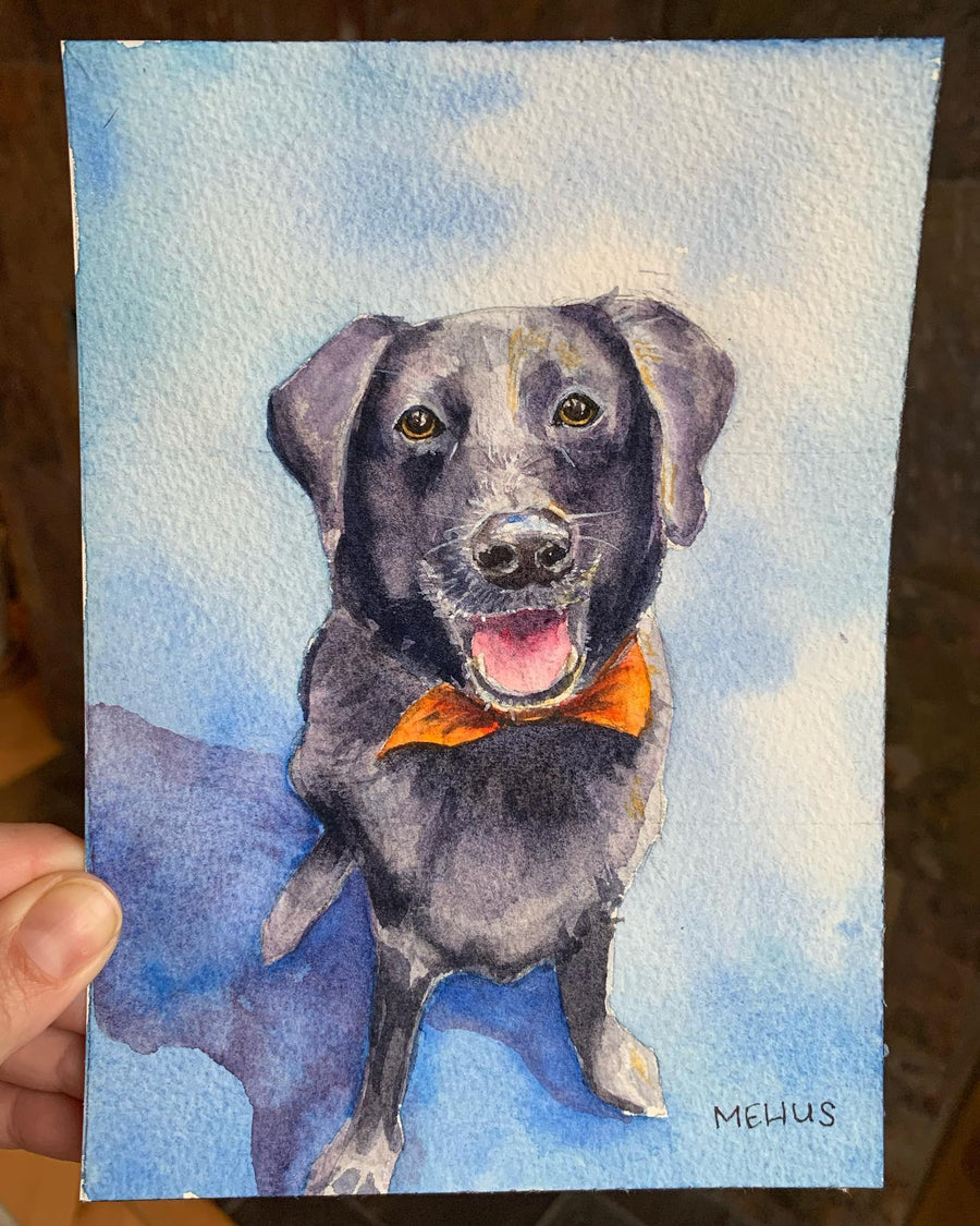 watercolor pet portrait of a black lab in a bow tie