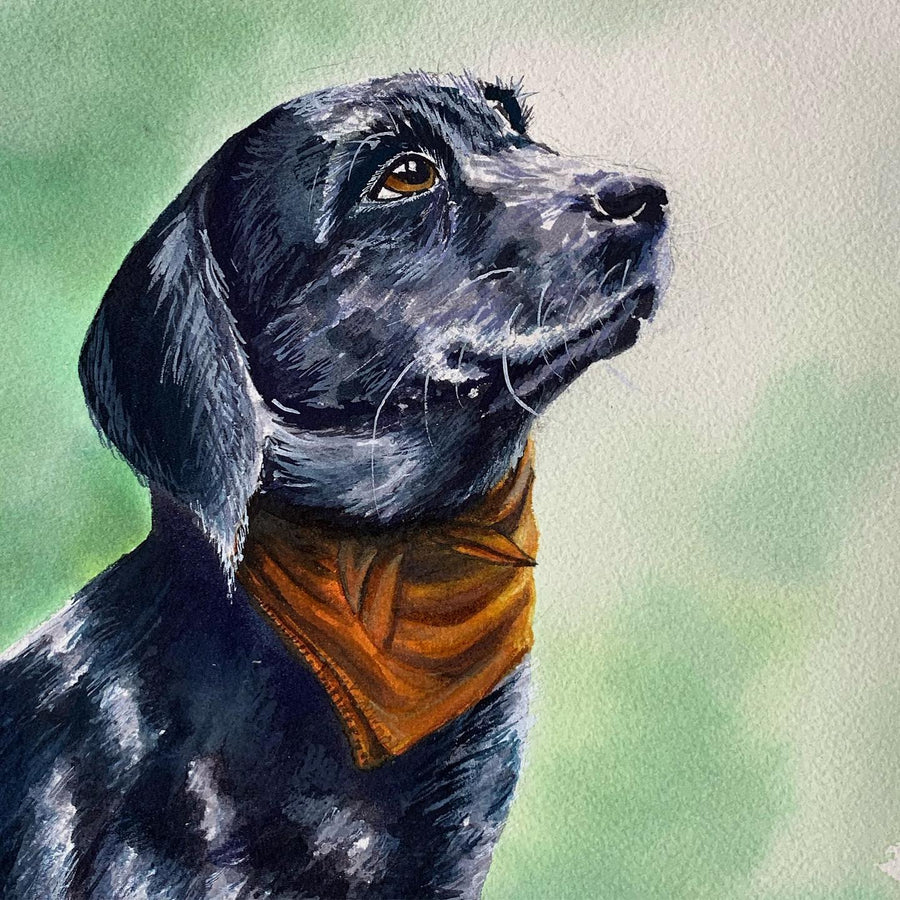 watercolor pet portrait of a black dog in an orange bandana