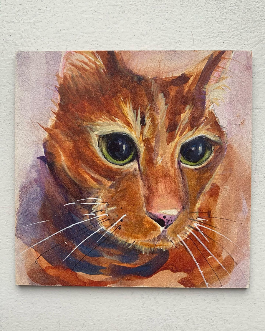 watercolor portrait of an orange tabby cat on a pink background