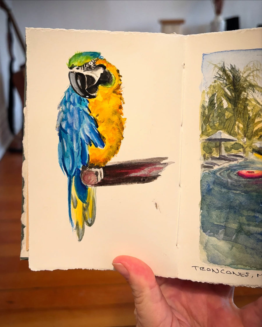 watercolor macaw in a sketchbook