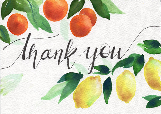 greeting card set of 10 - thank you - citrus