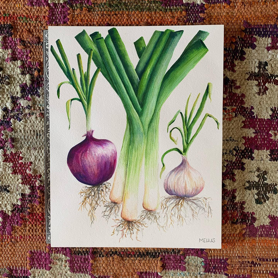 watercolor onions and leeks